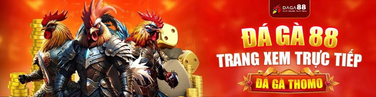 Tổng quan về đá gà trực tuyến AO88