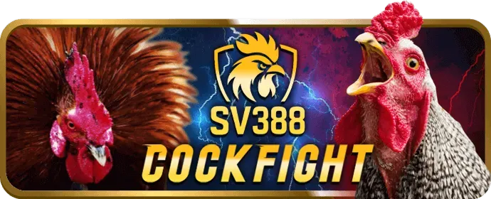 Dịch vụ hỗ trợ khách hàng ao88